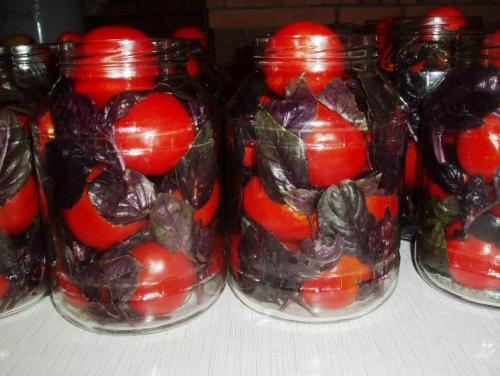 Помидоры с базиликом рецепт поскребышевой. Помидоры (томаты) маринованные с базиликом — рецепты на зиму
