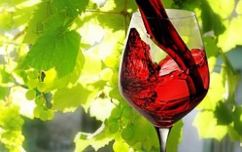 Вино кардинал. Домашнее вино из винограда