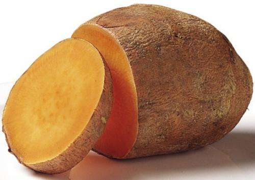 Картофель сладкий причины. Почему после подмораживания клубни картофеля становятся сладковатыми
