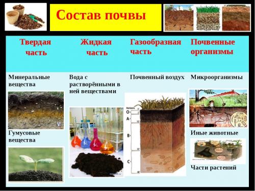 Как распушить чернозем. Из чего состоит почва и почему меняется ее состав?