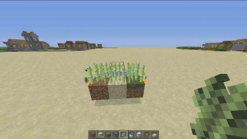 Сколько растет тростник. Где растет сахарный тростник в Minecraft?