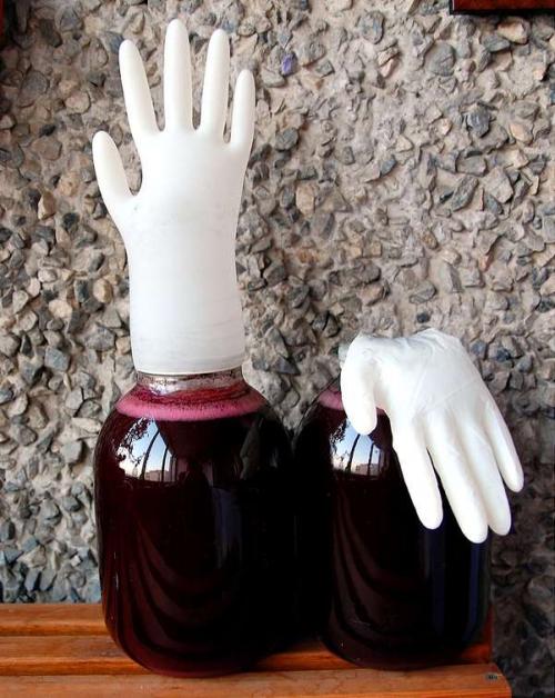 Можно ли делать яблочное вино из жмыха после соковарки без добавления сахара. Технология приготовления вина