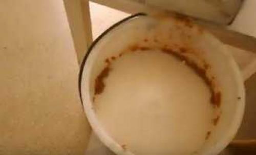 Вкусный и полезный напиток: как приготовить вино из яблочного жмыха после соковарки 14