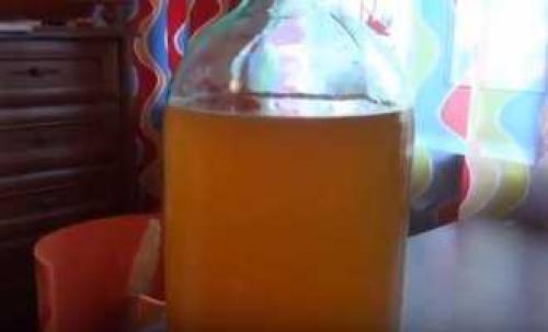 Вкусный и полезный напиток: как приготовить вино из яблочного жмыха после соковарки 06