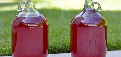 Вкусный и полезный напиток: как приготовить вино из яблочного жмыха после соковарки 20