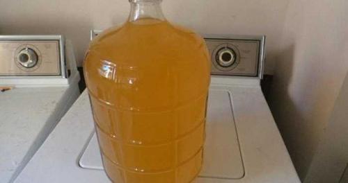 Вкусный и полезный напиток: как приготовить вино из яблочного жмыха после соковарки 09