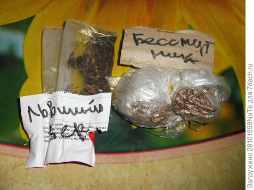 Собираем и заготавливаем свои семена цветов Статьи. Осенью семена собираем, а весной от их нехватки не страдаем