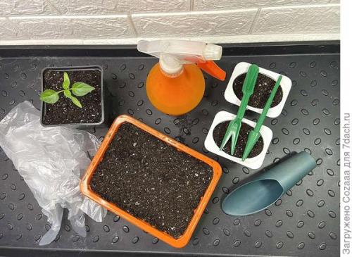 Какие инструменты мне понадобятся для подготовки почвы к посеву семян. Иметь удобные инструменты для посева семян и пикировки рассады - это важно!