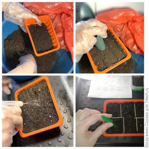 Какие инструменты мне понадобятся для подготовки почвы к посеву семян. Иметь удобные инструменты для посева семян и пикировки рассады - это важно!