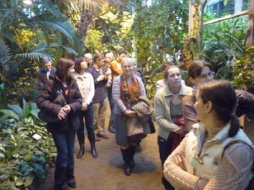 Виноград сидоренко. Русский зимостойкий виноград