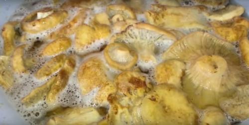 Как правильно приготовить маринуд для грузди, чтобы избежать горчицы. Маринованные грузди на зиму