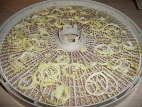 Как сушить лук в сушилке. Как правильно сушить репчатый лук в электросушилке?