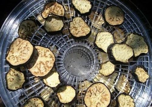 Сушка баклажанов в электросушилке рецепты. Вяленые баклажаны в сушилке 17