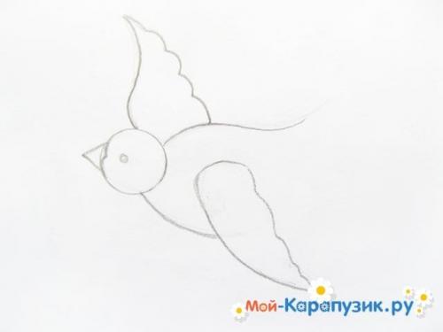 Ласточка птица рисунок. Как нарисовать ласточку карандашом поэтапно.