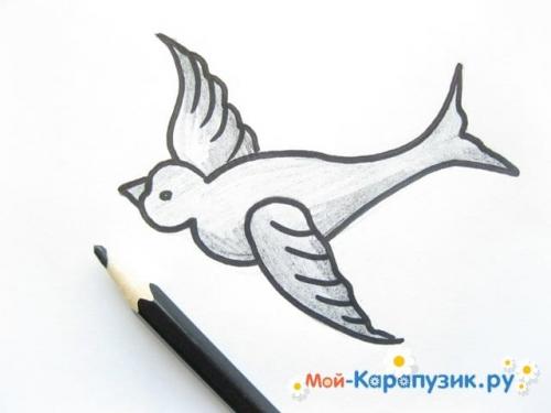 Ласточка птица рисунок. Как нарисовать ласточку карандашом поэтапно.