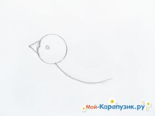Ласточка птица рисунок. Как нарисовать ласточку карандашом поэтапно.
