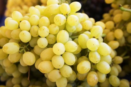 Самые лучшие сорта винограда столового. Что значит столовый сорт 02 Самые лучшие сорта винограда столового. Что значит столовый сорт 02