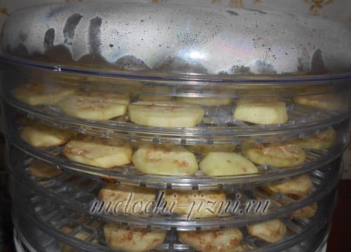 Сушка баклажанов на солнце. Сушка баклажанов в электросушилке