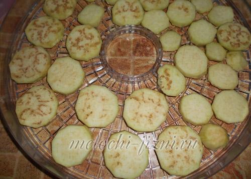 Сушка баклажанов на солнце. Сушка баклажанов в электросушилке