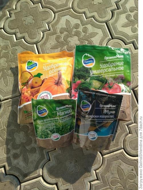 ОСЕННИЙ сбор семян с цветов. Заготовка семян и уход за почвой, где росли неприхотливые и красивые цветы