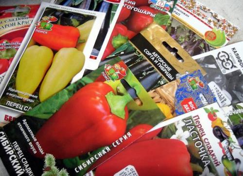 Можно ли использовать собранные семена для посадки весной. Прошлогодние семена: сеять или выкинуть?