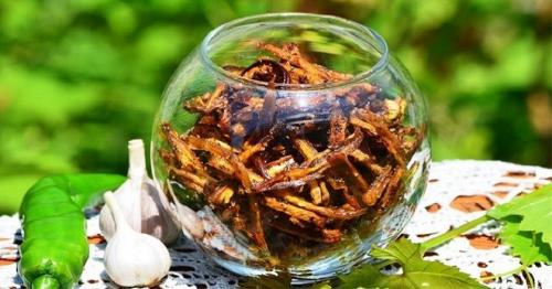 Сушёные баклажаны Готовим вкусно. Использование сушеного продукта 17 Сушёные баклажаны Готовим вкусно. Использование сушеного продукта 17