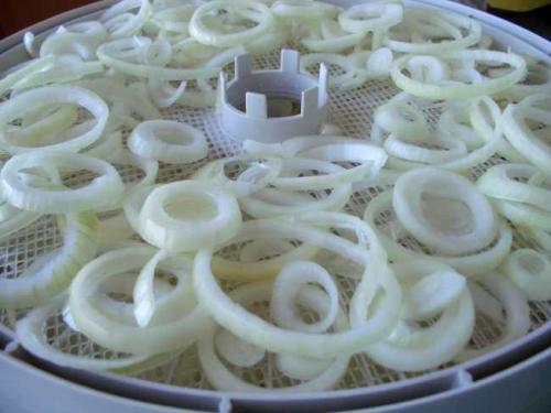 Как сушить лук в сушилке. Как правильно сушить репчатый лук в электросушилке?