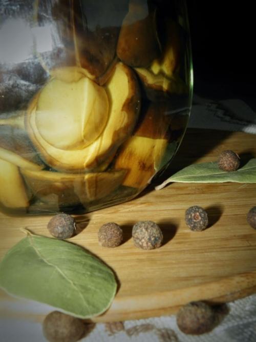 Какие ингредиенты используются для приготовления горячего засола. Грибы соленые горячим способом