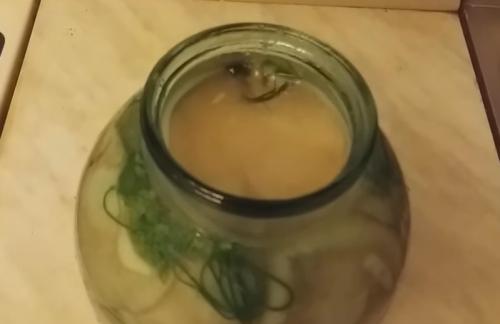 Какие ингредиенты необходимы для приготовления черных и белых Грузди. Белые Грузди солёные холодным способом в банках