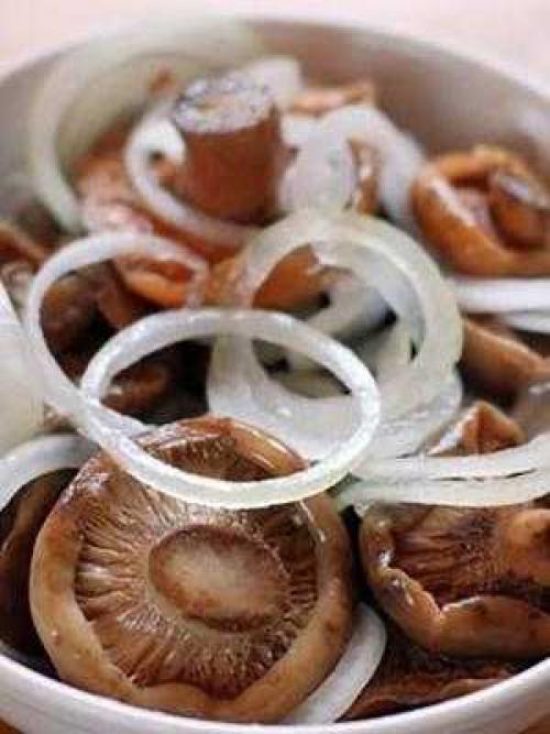 Устранение горечи в грибах: проверенные методы и рецепты 01