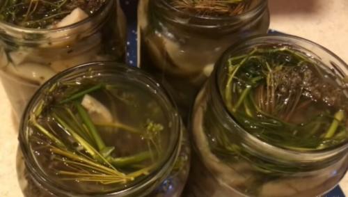 Как долго замачивают тополевые грузди в горячем засоле. Грузди солёные горячим способом — 7 очень вкусных рецептов на зиму