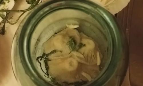 Какие ингредиенты необходимы для приготовления черных и белых Грузди. Белые Грузди солёные холодным способом в банках