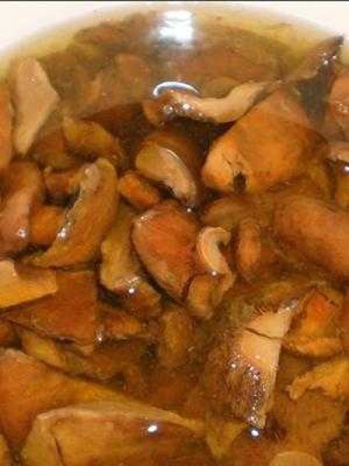 Устранение горечи в грибах: проверенные методы и рецепты 02