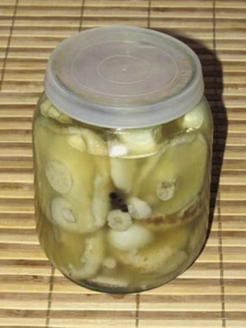 Сегодня достали тополевые грузди горячий засол. Засолка груздей горячим способом на зиму в банках