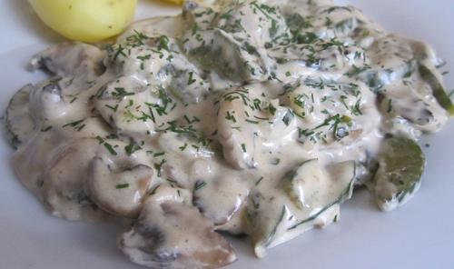 Как правильно размешать тесто для черных и белых Грузди. Грузди со сметаной: рецепты блюд