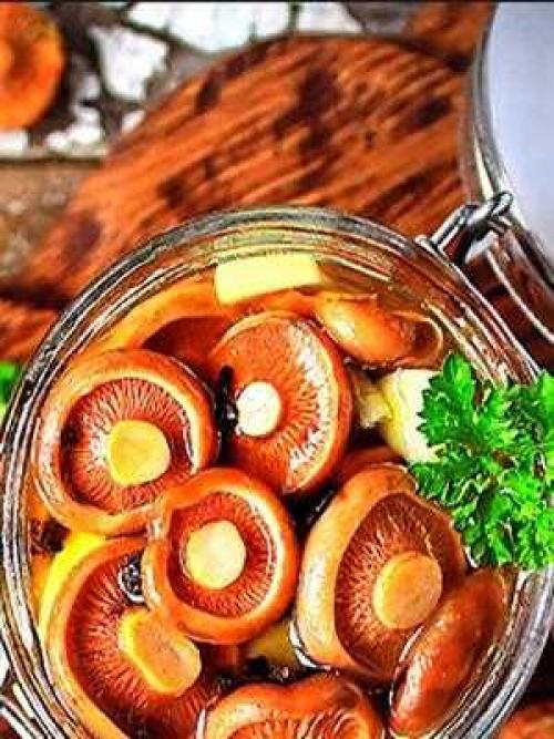 Устранение горечи в грибах: проверенные методы и рецепты 03