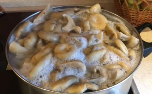 Как долго замачивают тополевые грузди в горячем засоле. Грузди солёные горячим способом — 7 очень вкусных рецептов на зиму