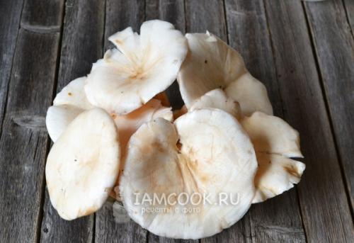 Горячий засол: как приготовить тополевые грузди 36 Горячий засол: как приготовить тополевые грузди 36