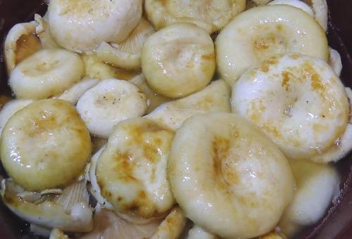 Какие последствия могут иметь соленые грузди на нашу жизнь. Польза груздей для организма