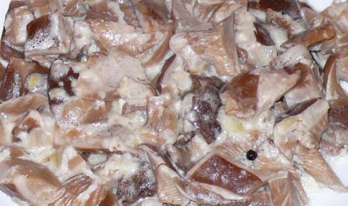 Как правильно размешать тесто для черных и белых Грузди. Грузди со сметаной: рецепты блюд