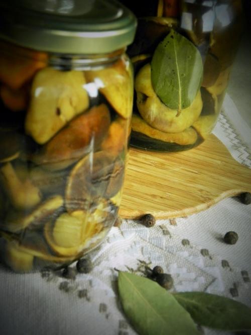 Какие ингредиенты используются для приготовления горячего засола. Грибы соленые горячим способом