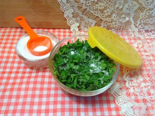 Заготовка петрушки на зиму. Петрушка на зиму заготовки. Рецепты с солью, морковью, томатной пастой, чесноком, маслом. Как сушить, заморозить