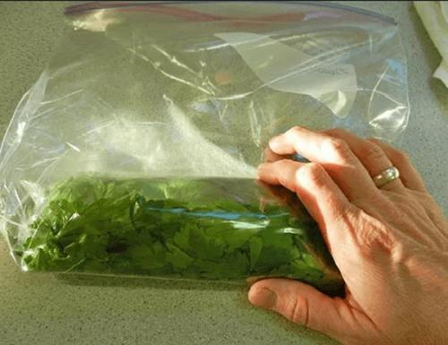 Заготовка петрушки на зиму. Петрушка на зиму заготовки. Рецепты с солью, морковью, томатной пастой, чесноком, маслом. Как сушить, заморозить