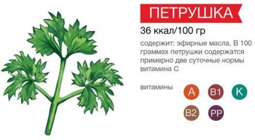 Заготовка петрушки на зиму. Петрушка на зиму заготовки. Рецепты с солью, морковью, томатной пастой, чесноком, маслом. Как сушить, заморозить