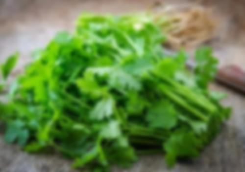 Закуска из петрушки и помидоров на зиму. Салат с красными помидорами, луком и зеленью Петрушка 31