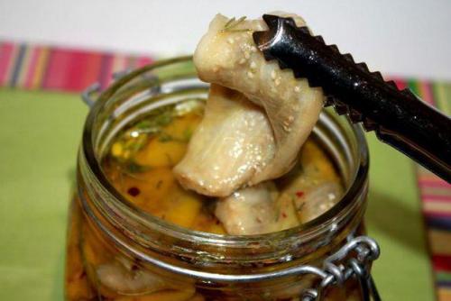 Вяленые баклажаны в маринаде. Вяленые баклажаны в духовке: готовим на зиму 32