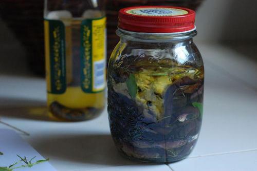 Вяленые баклажаны в маринаде. Вяленые баклажаны в духовке: готовим на зиму 31