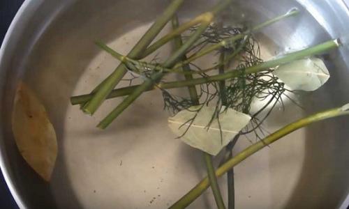 Помидоры с чесноком и укропом. Как приготовить вкусные помидоры, малосольные с чесноком и укропом в домашних условиях