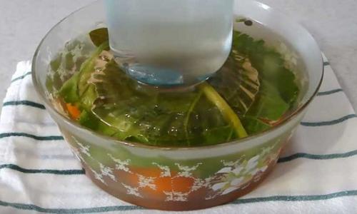 Помидоры с чесноком и укропом. Как приготовить вкусные помидоры, малосольные с чесноком и укропом в домашних условиях