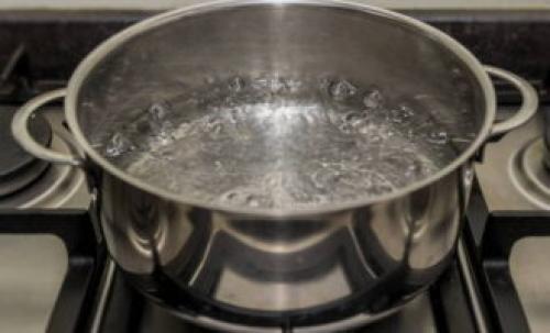 Помидоры с петрушкой и чесноком закуска. Малосольные помидоры с чесноком и зеленью быстрого приготовления – 7 пошаговых рецептов